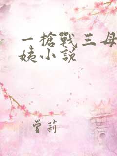 一枪战三母2雪姨小说
