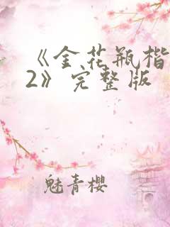 《金花瓶楷梅花2》完整版