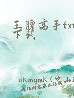 王牌高手txt下载