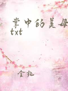 掌中的美母版主txt