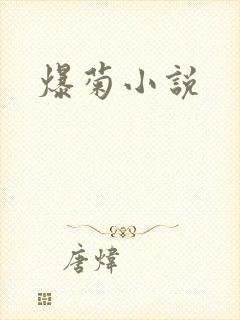 爆菊小说