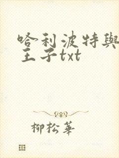 哈利波特与混血王子txt