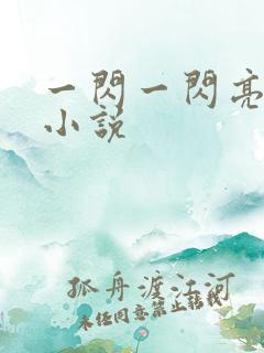 一闪一闪亮星星小说