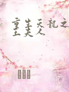 重生天龙之推倒王夫人