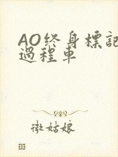 AO终身标记全过程车