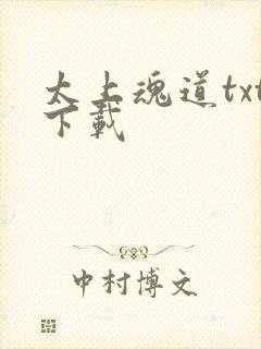 太上魂道txt下载