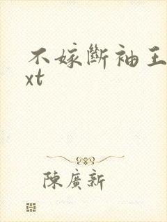 不嫁断袖王爷txt