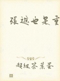 张遮也是重生吗