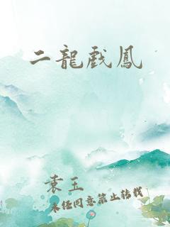 二龙戏凤