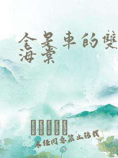 全是车的双男主海棠