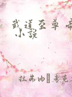 武道至尊 帝临 小说