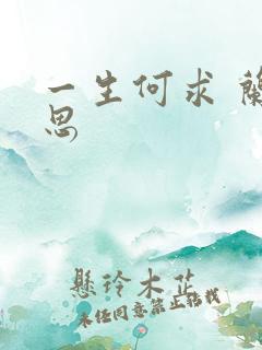 一生何求 兰思思