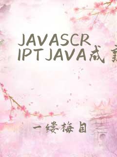 JAVASCRIPTJAVA成熟亲子