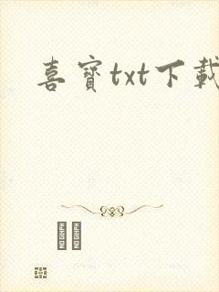 喜宝txt下载