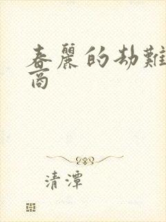 春丽的劫难军火商