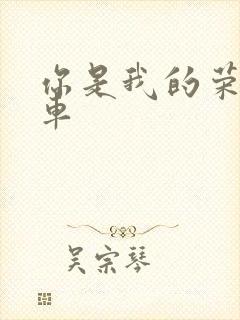 你是我的荣耀肉车