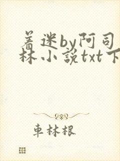 着迷by阿司匹林小说txt下载