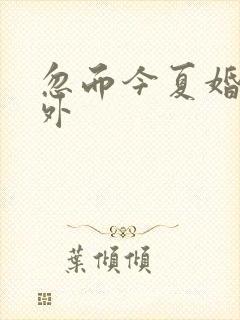忽而今夏婚后番外
