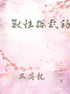 兽性总裁的爱奴