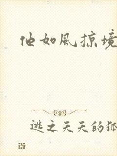 他如风掠境