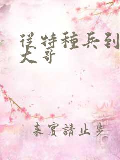 从特种兵到黑道大哥