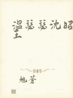 温瑟瑟沈昭摄政王