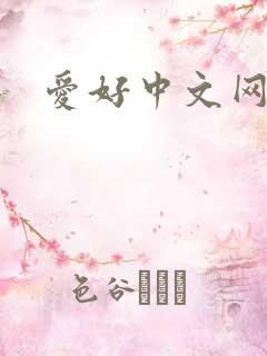 爱好中文网