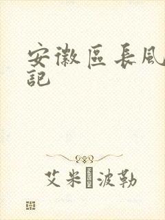 安徽区长风流日记