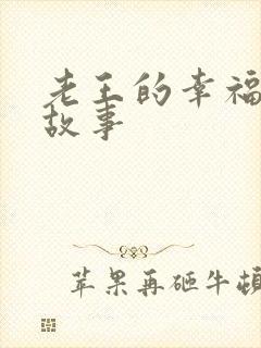 老王的幸福生活故事