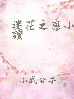 迷茫之恋小说阅读