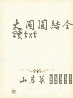 大团圆结全文阅读txt