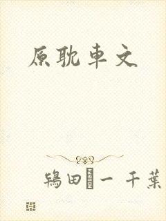 原耽车文