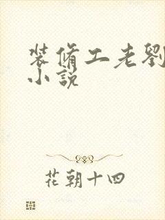 装修工老刘林雪小说