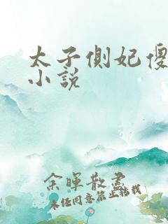 太子侧妃傻乎乎小说