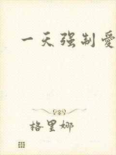 一天强制爱