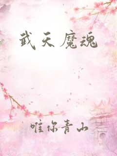 武天魔魂