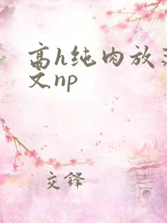 高h纯肉放荡h文np