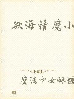 欲海情魔小说