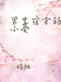 男生宿舍的公共小受