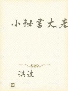 小秘书大老婆