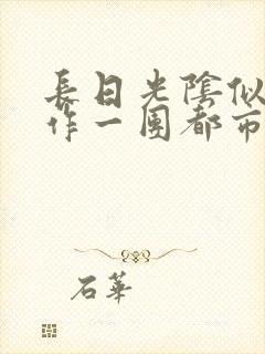 长日光阴似箭乱作一团都市言情