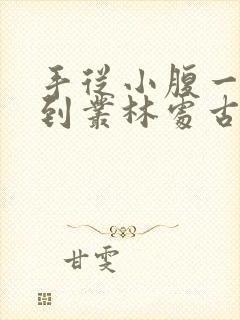 手从小腹一路开到丛林处古代