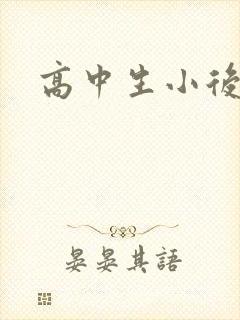 高中生小后妈