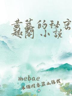 黄蓉的秘密 笔趣阁 小说