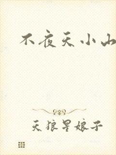 不夜天小山城