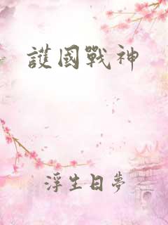 护国战神