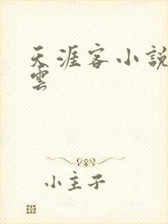 天涯客小说百度云