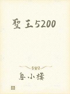 圣王5200
