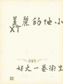 美丽的他小说TXT