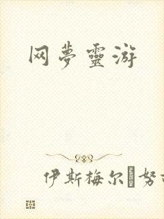 网梦灵游